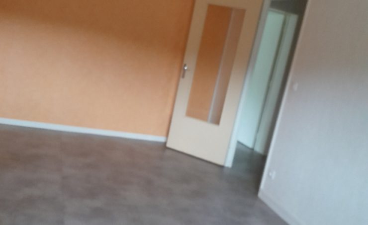 Appartement T2 53m² - AYDAT - Image 2